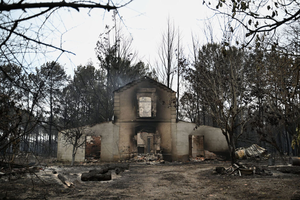 Šumski požari