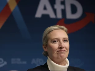 Alis Vajdel