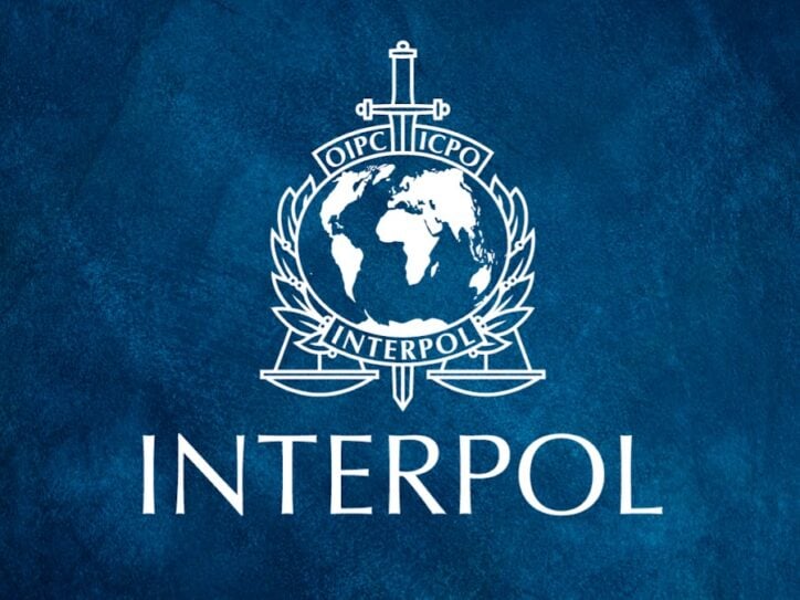 Međunarodna policija