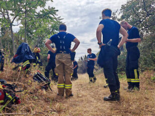Firemen