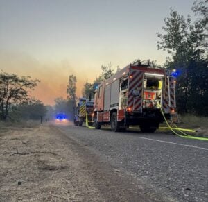 Požar u Deliblatskoj peščari: Šta kažu nemački vatrogasci?