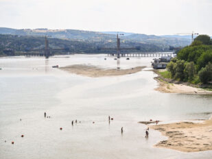 Dunav