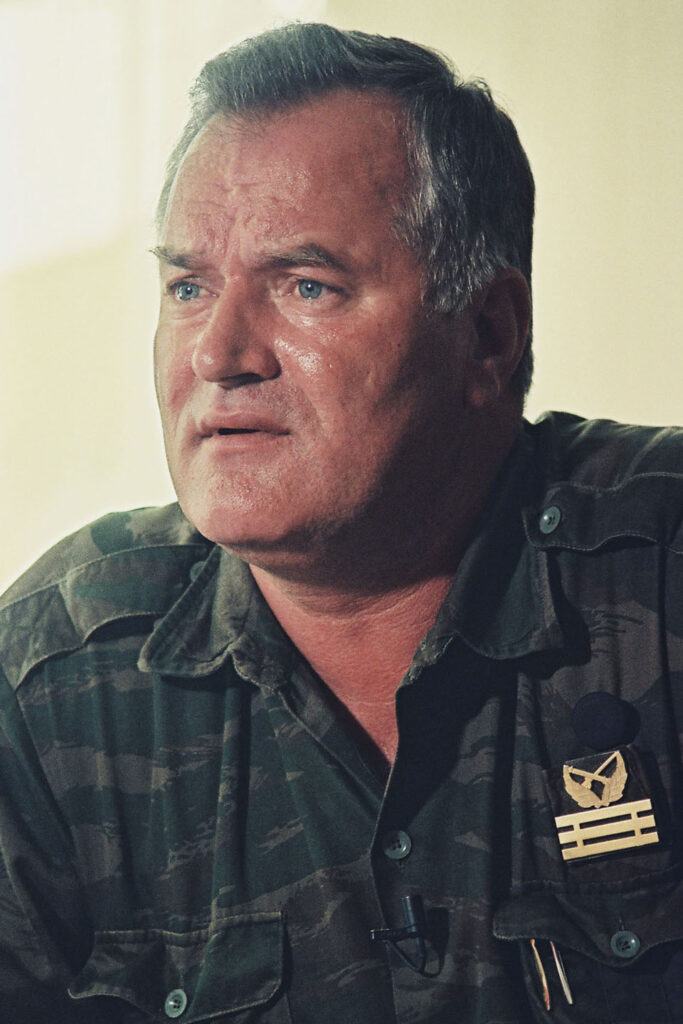 Smrt Ratka Mladića