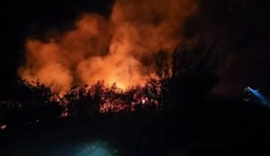 „Ajde, spuštajte se na put“: Divlja požar na Braču, vatru pokušava da obuzda više od 100 vatrogasaca