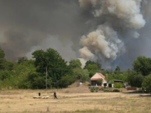Eskstreman rizik od širenja požara: Vremenske (ne)prilike ne idu na ruku vatrogascima