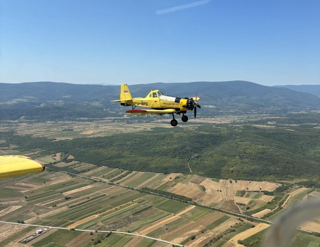 Avion dromader