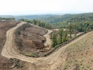Malka Golaja kod Zaječara - razrovana zemlja tamo gde je nekad bila šuma