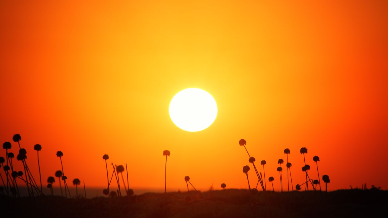 Užareno sunce na narandžastom nebu