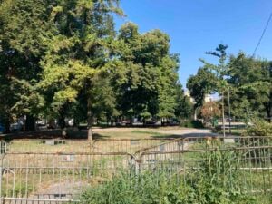 Lakše pobediti Vučića na izborima nego osloboditi Pionirski park