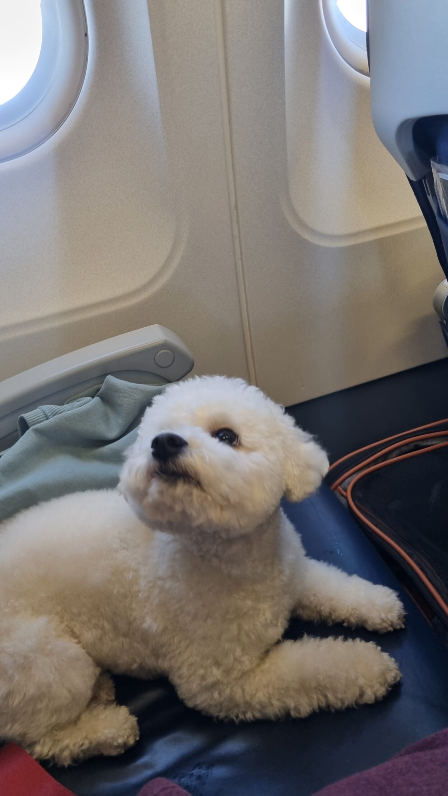 Avion, Pas
