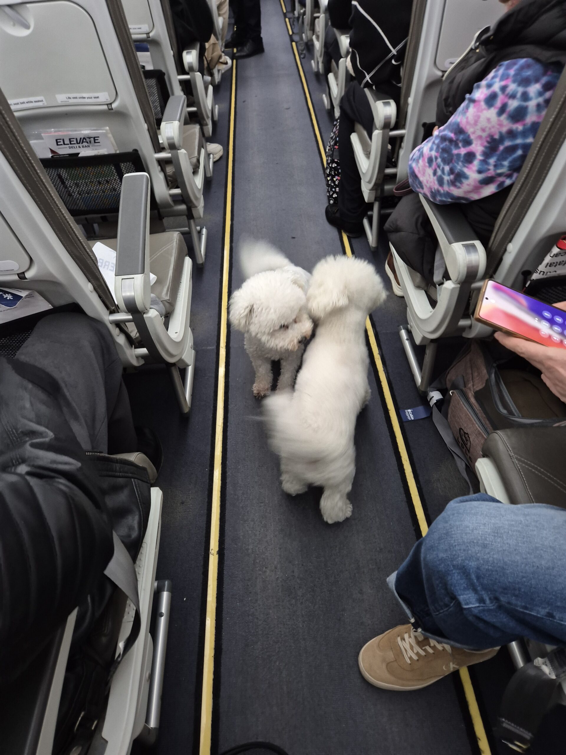 Avion, Pas