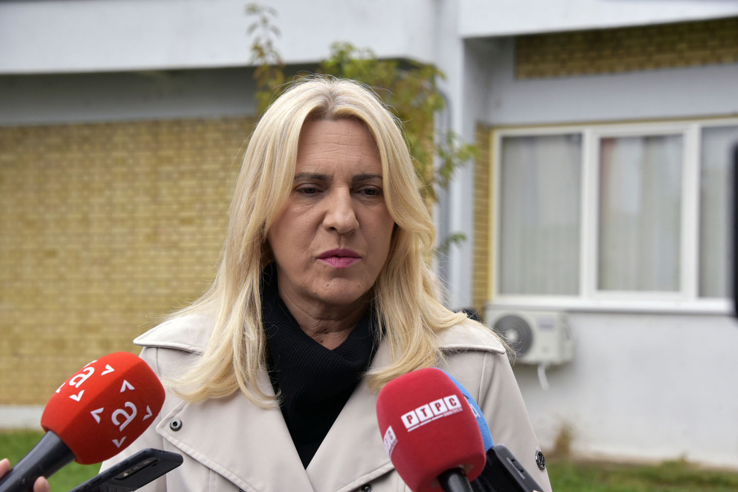 Željka Cvijanović