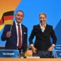 AFD
