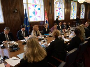 Ana Brnabić sa delegacijom PSSE