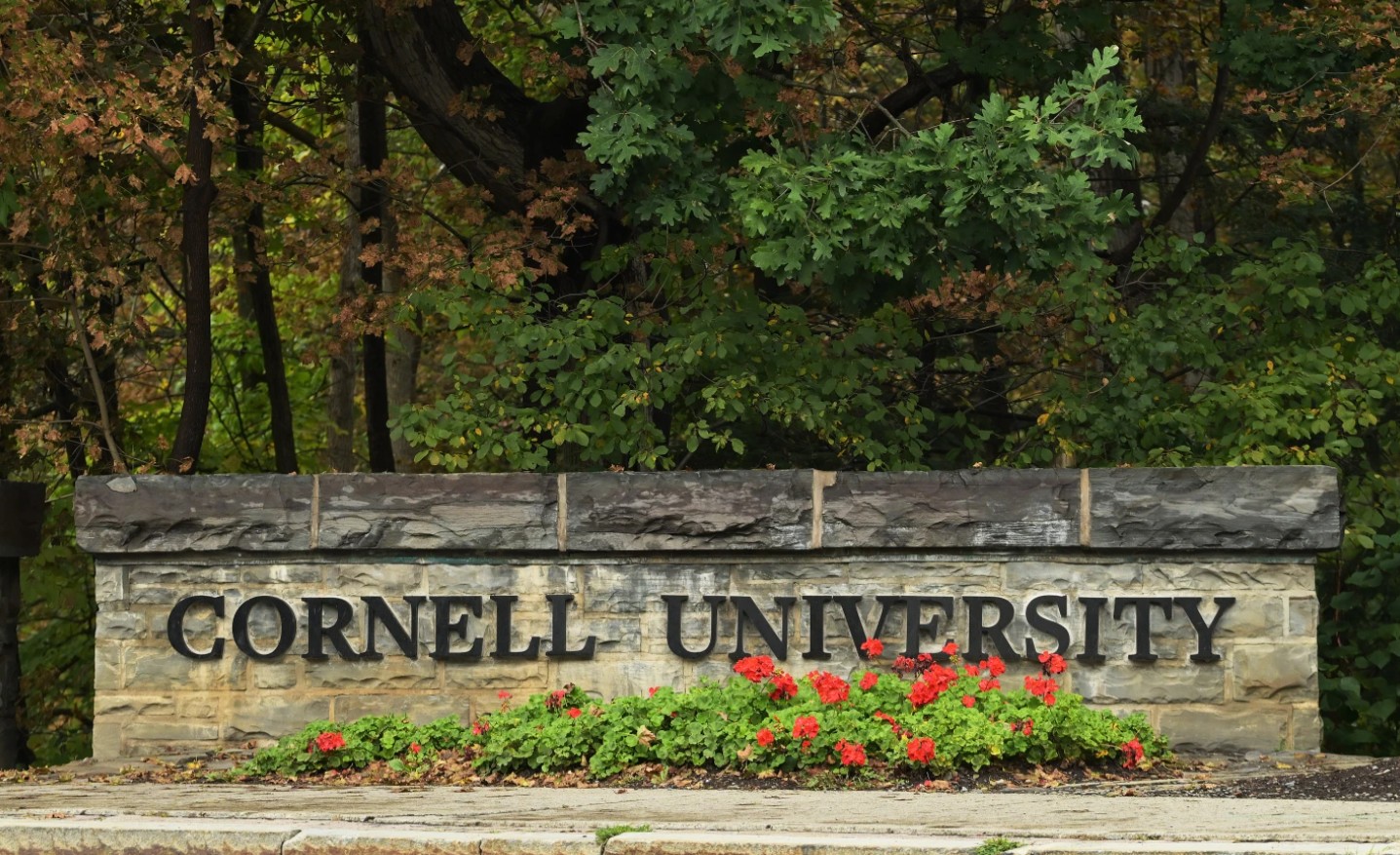 Kornel
