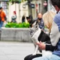 Pas i ljudi u Knez Mihajlovoj